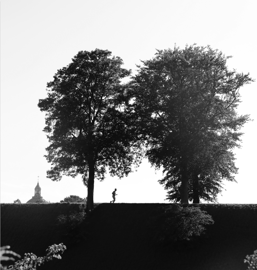 framed by nature